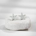 Cercei Studs Starfish - pearl light green